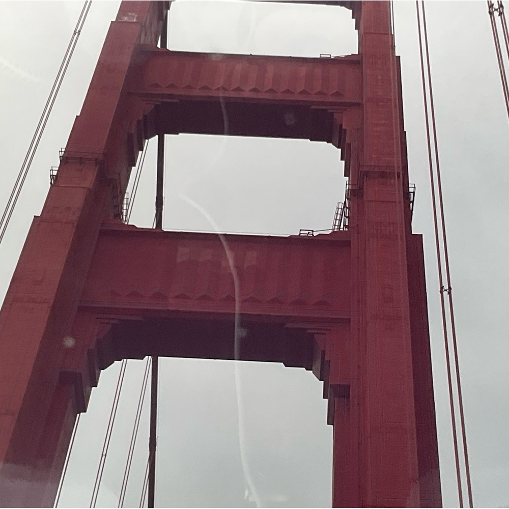 UNLISTED LIVE SHOW ITEM ✨